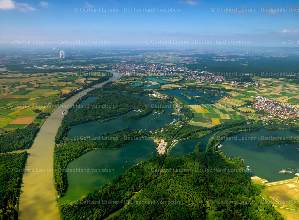 2739714 | Rhein nördlich von Speyer