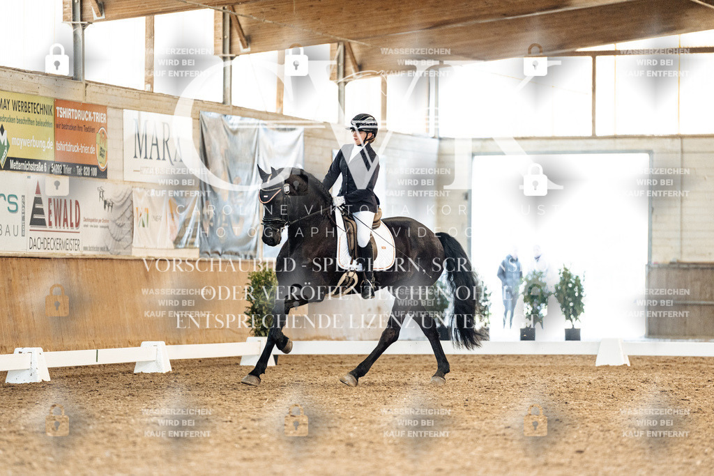 CK909747 | Turnierfotografie Pferdefotografie Trier Rheinland-Pfalz Pferdesport Reitsport Tierfotografie Sportfotografie Pferdevideo Pferdevideografie Equestrianvideography equestrianphotography  - Realisiert mit Pictrs.com