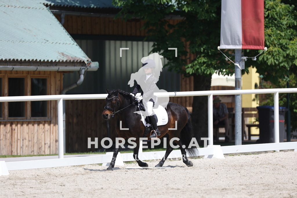 0P6A5892 | Willkommen bei Brunnmayr - Design & Fotografie – Ihrem Spezialisten für Reitturniere und Pferdeveranstaltungen in Oberösterreich, Salzburg und Bayern! Seit über 17 Jahren sind wir leidenschaftlich dabei.