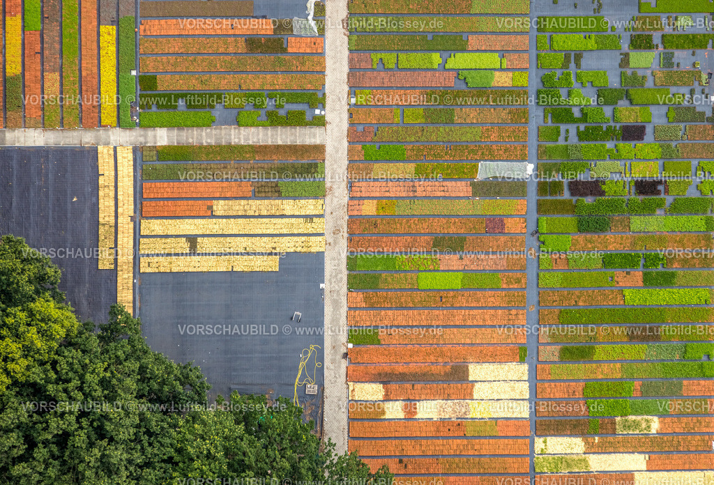 Bottrop240701428Kirchhellen-2 | Luftbild Blossey Luftbilder NRW Deutschland