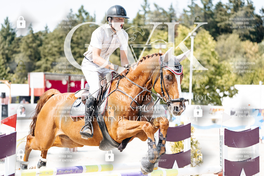CK901475 | Turnierfotografie Pferdefotografie Trier Rheinland-Pfalz Pferdesport Reitsport Tierfotografie Sportfotografie Pferdevideo Pferdevideografie Equestrianvideography equestrianphotography  - Realisiert mit Pictrs.com