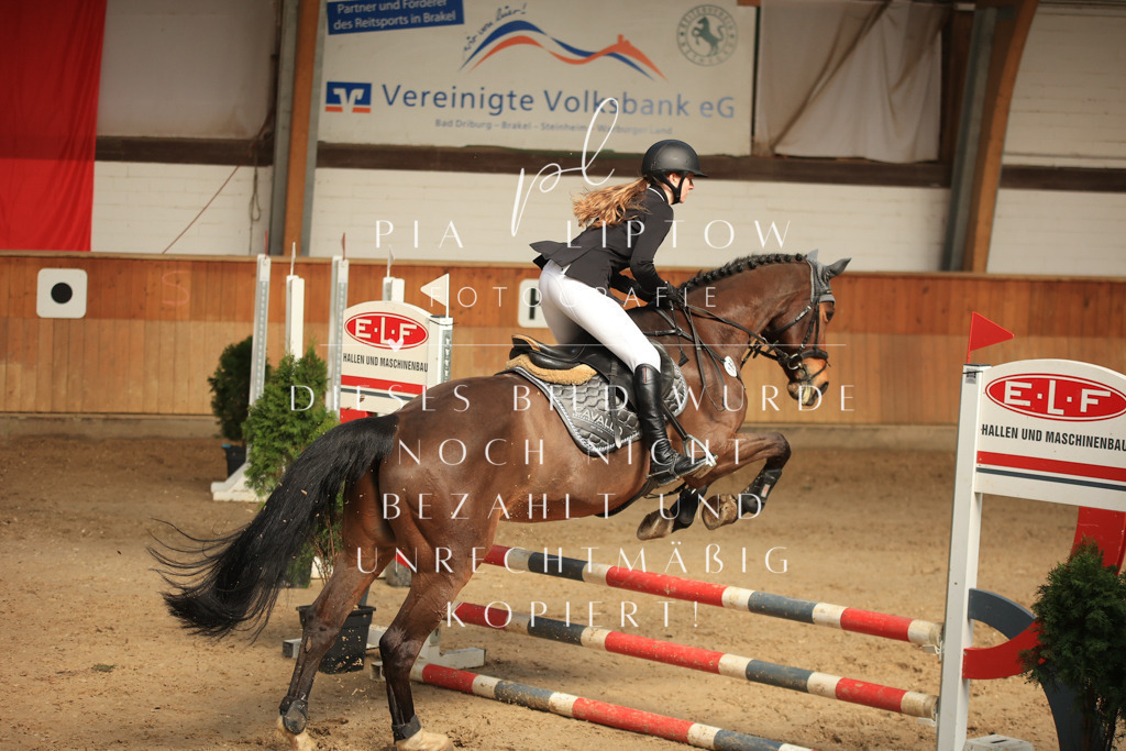 IMGT9339 | pl-fotografie