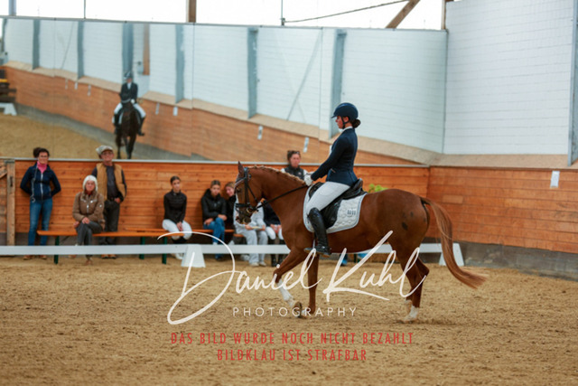 _62_5673 | Turniersportfotografie; Pferdefotografie; Dressurfotografie