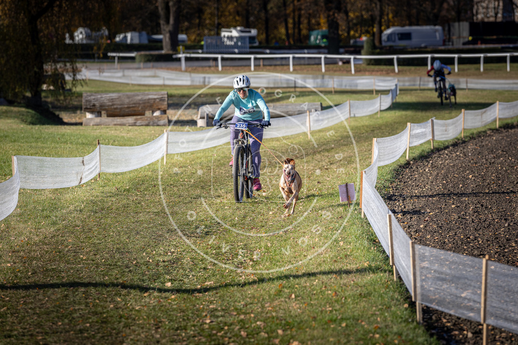 CaniXpix_DV3A4018 | Hundefotografie, Tierfotograf, Pfotenfotografie, Fotoshooting Hund, Hunde Portrait, Hundesport, Hundeportraits, Heideshooting, Hunde, Sportfotograf, Hundefotograf, Turnierhundsport, THS,  - Realisiert mit Pictrs.com