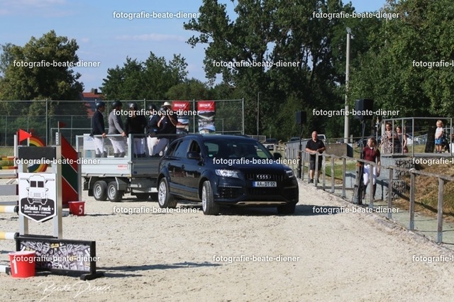 OHT 2022 Röhlingen (1) | Fotografie, Tiere, Hunde, Katzen, Pferde, Sportfotografie, Fotosession, Tierfotografie, Turnierfotografie, Fotografin, Fotograf - Realisiert mit Pictrs.com