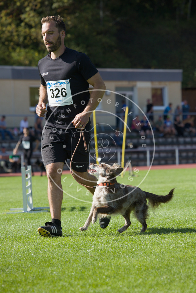 0L8A8567 | Hundefotografie, Tierfotograf, Pfotenfotografie, Fotoshooting Hund, Hunde Portrait, Hundesport, Hundeportraits, Heideshooting, Hunde, Sportfotograf, Hundefotograf, Turnierhundsport, THS,  - Realisiert mit Pictrs.com