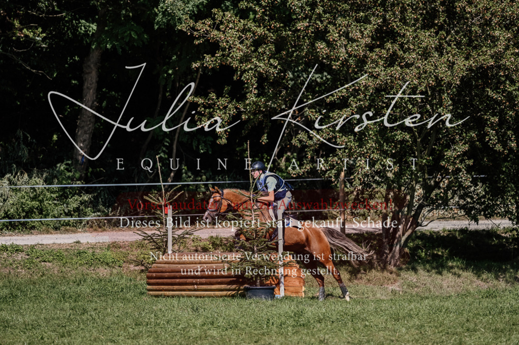DSC_2078 | Pferde- und Turnierfotografie in Westsachsen. Pferdeportraits, Auftragszeichnungen und intuitive Kunst.