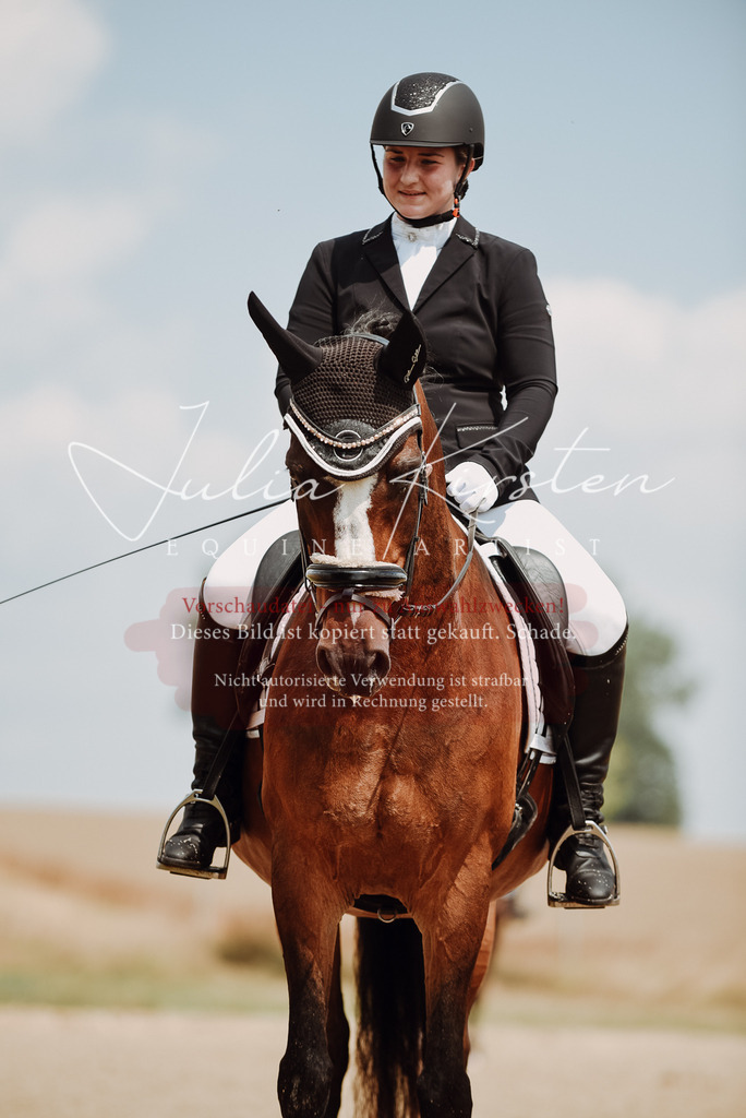 DSC_4300 | Pferde- und Turnierfotografie in Westsachsen. Pferdeportraits, Auftragszeichnungen und intuitive Kunst.