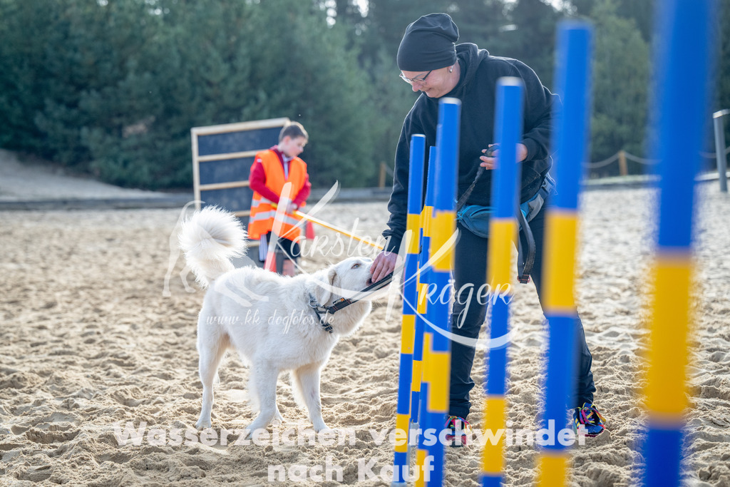 0946_ZZ92766 | kk-dogfotos