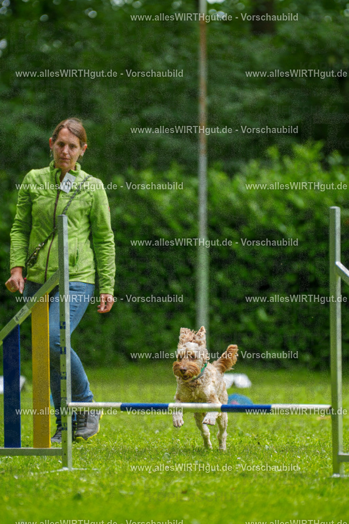 @allesWIRTHgut_Tierfotografie - www.allesWIRTHgut.de - 092128-7R506961 | Professionelle Tierfotografie in Mönchengladbach von Daniel Wirth (allesWIRTHgut). Liebevolle & natürliche Bilder von Hunden & Katzen für unvergessliche Erinnerungen.