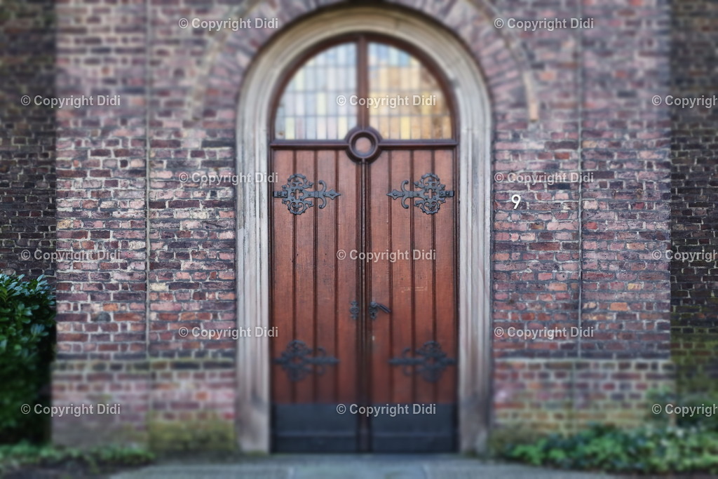 IMG_2128 | Didi - Realisiert mit Pictrs.com