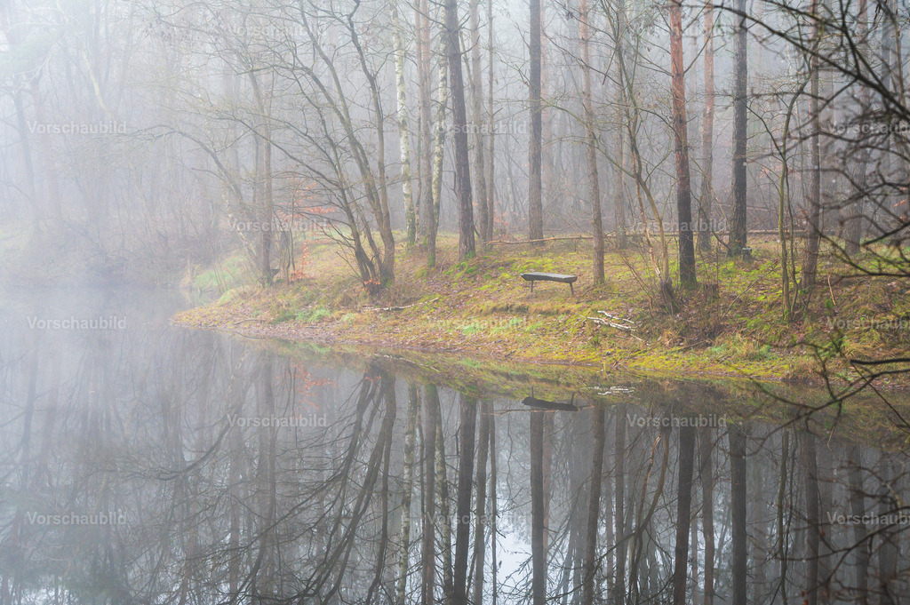 Fotoatelier Christian Hofmeister | Stadtlandschaften, sowie Makro-, Landschafts-, Natur- und Schwarzweißfotos aus der Region Celle & Umgebung