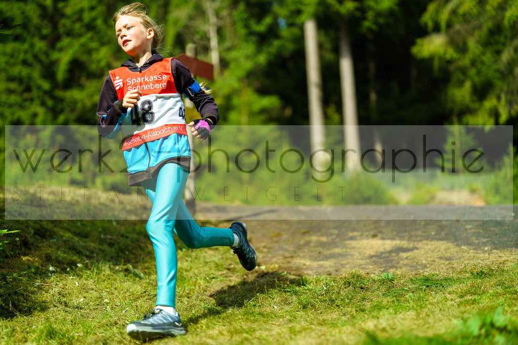 Komplex Cross Scheibe-Alsbach | Biathlonanlage "Am Rußtiegel" Scheibe-Alsbach am 7. September 2025