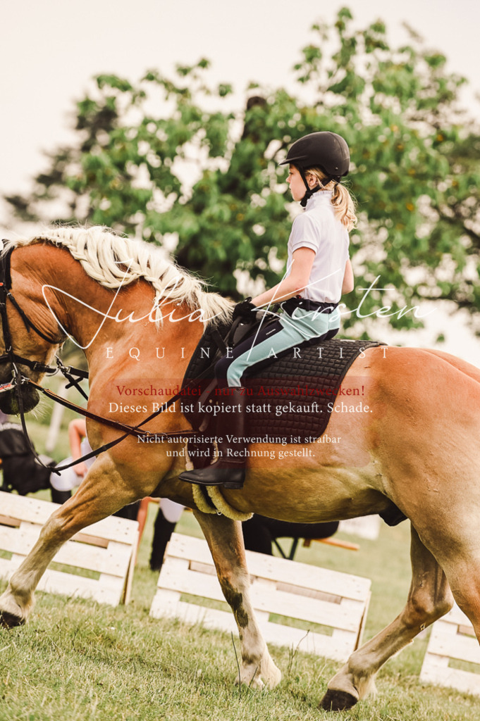 DSC_5239 | Pferde- und Turnierfotografie in Westsachsen. Pferdeportraits, Auftragszeichnungen und intuitive Kunst.