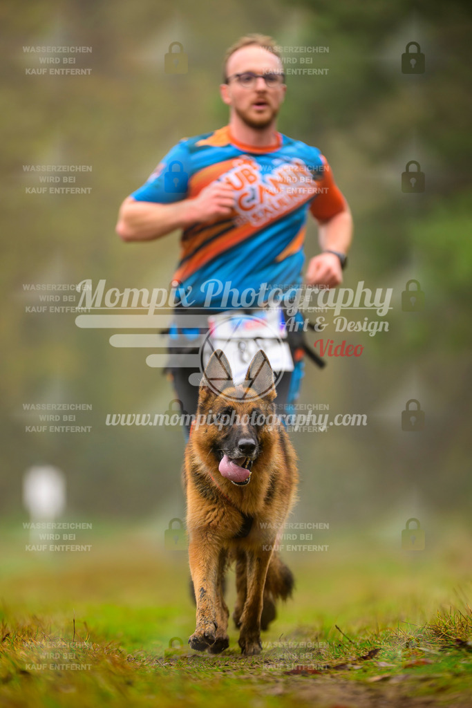 MompixPhotography_Bischwiller2025_Canicross-101 | mompixphotography