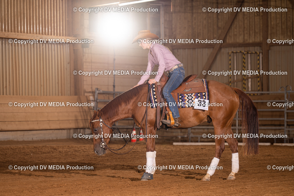 NID01010 | dv-media-shop - Realisiert mit Pictrs.com