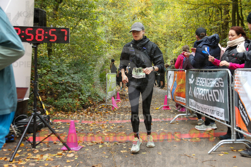 251026_1300_EX1_2178 | Sportfotografie im Rhein-Sieg Kreis, Köln, Bonn, NRW, Rheinland Pfalz, Hessen, etc. Unser Tätigkeitsfeld umfasst den Laufsport vom Volkslauf über den Marathon, Duathlon, Triathon bis zum Ultralauf wie Kölnpfad Ultra oder Schindertrail.