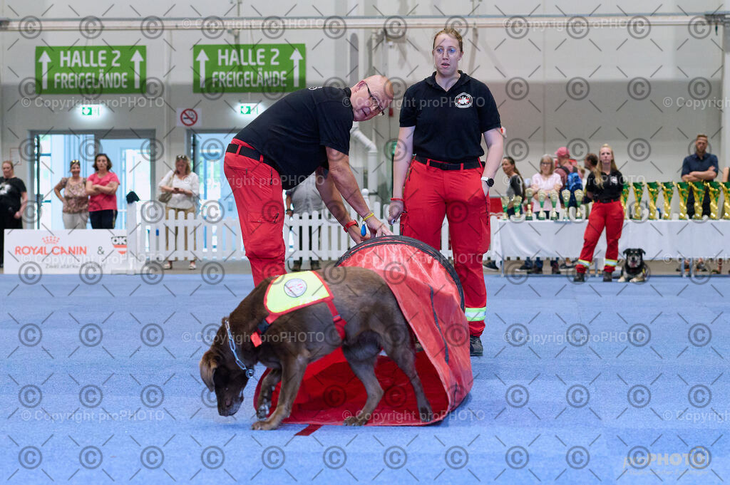 202406_ÖKV-IHA-Tulln24_DSC_3461 | proPHOTO - Realisiert mit Pictrs.com