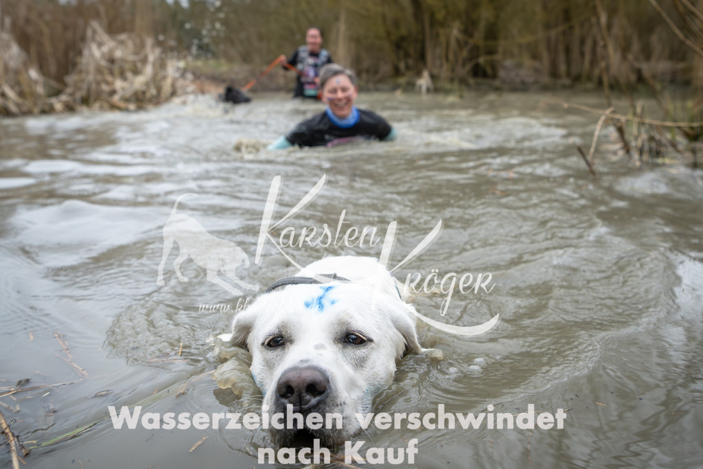 1344_ZZ92210 | kk-dogfotos
