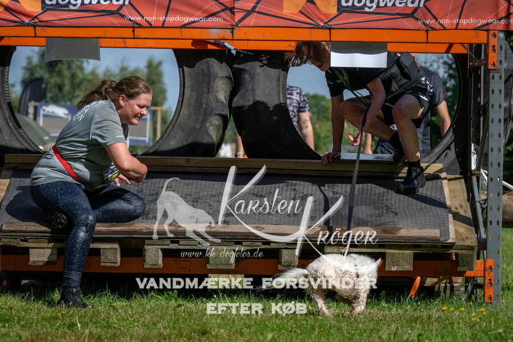 1105_ZZ91865 | kk-dogfotos