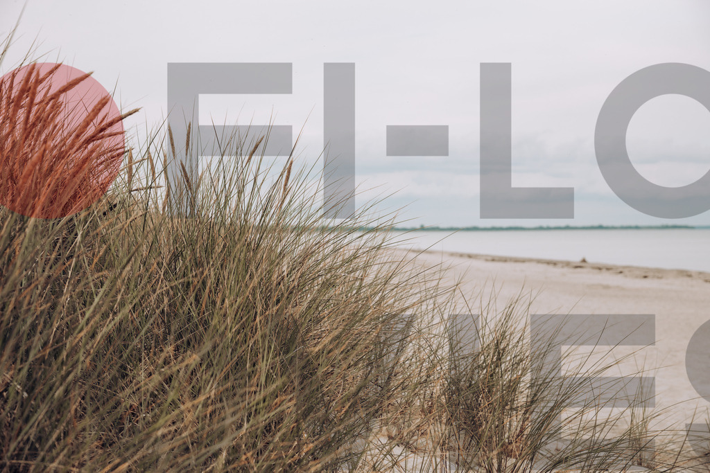 Dänemark 4 | Düne der Ostsee - Realisiert mit Pictrs.com