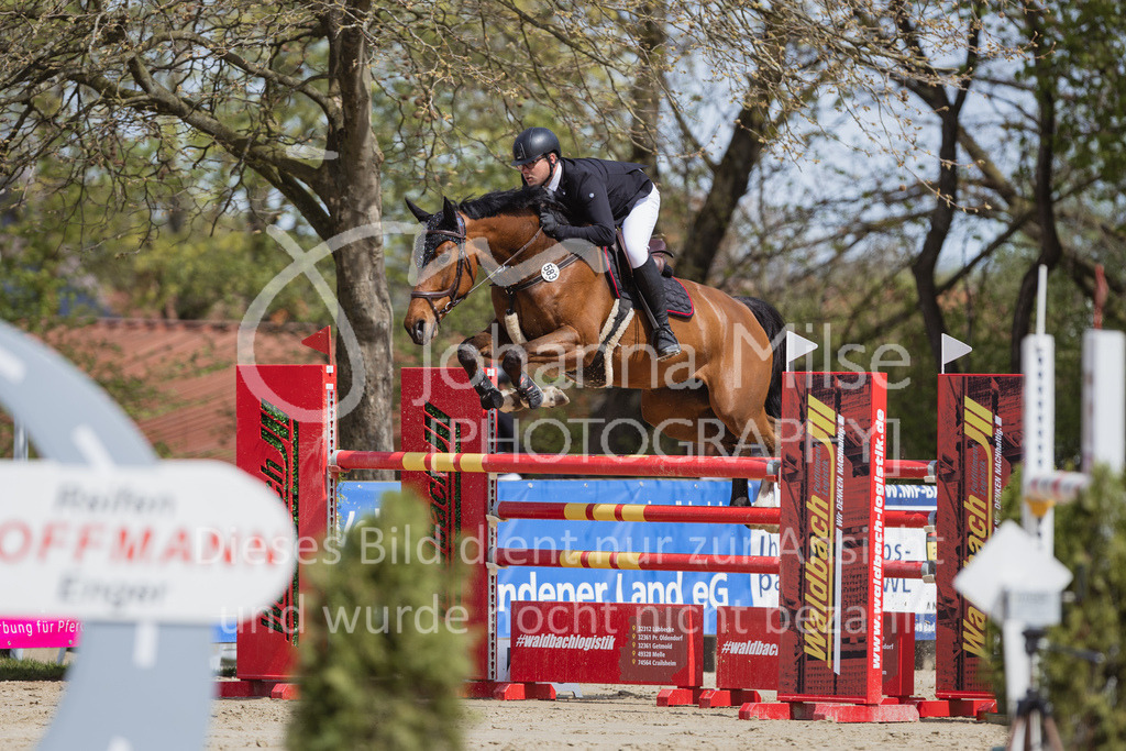 230501_SpengeW_M2St-202 | Deine schönsten Turniermomente als professionelle Fotos! Entdecke hochwertige Pferdesport-Fotografie im Online-Shop. Jetzt Fotos finden & bestellen!