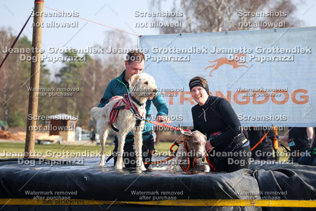Dog Paparazzi - Strongdog North Mrz26-1517 | Dog Paparazzi Jeanette Grottendiek Fotografie & Videografie - Realisiert mit Pictrs.com