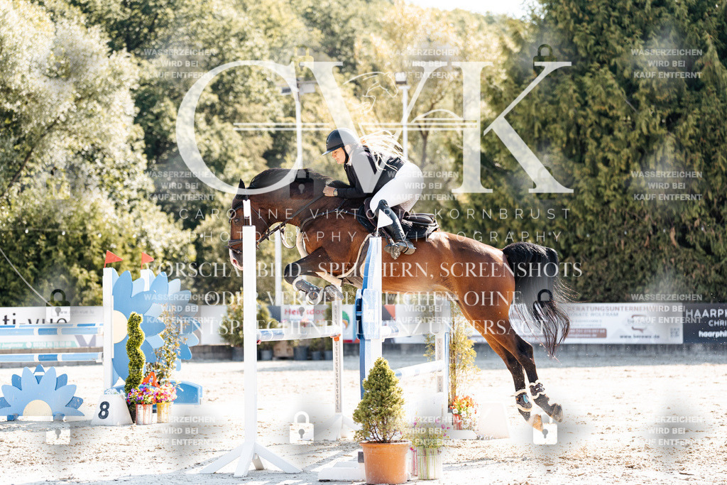 CK902536 | Turnierfotografie Pferdefotografie Trier Rheinland-Pfalz Pferdesport Reitsport Tierfotografie Sportfotografie Pferdevideo Pferdevideografie Equestrianvideography equestrianphotography  - Realisiert mit Pictrs.com