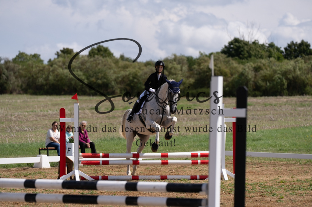 A7V03057 | Pferdefotograf