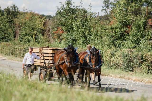 7V6A2435 | natalia-nirschl-photography