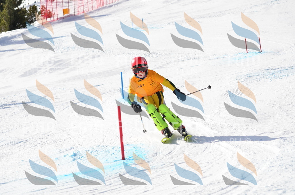 C6539 | holidayphoto