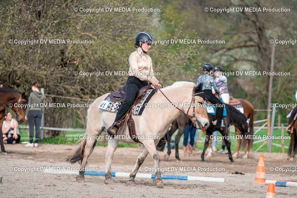 BAL02835 | dv-media-shop - Realisiert mit Pictrs.com