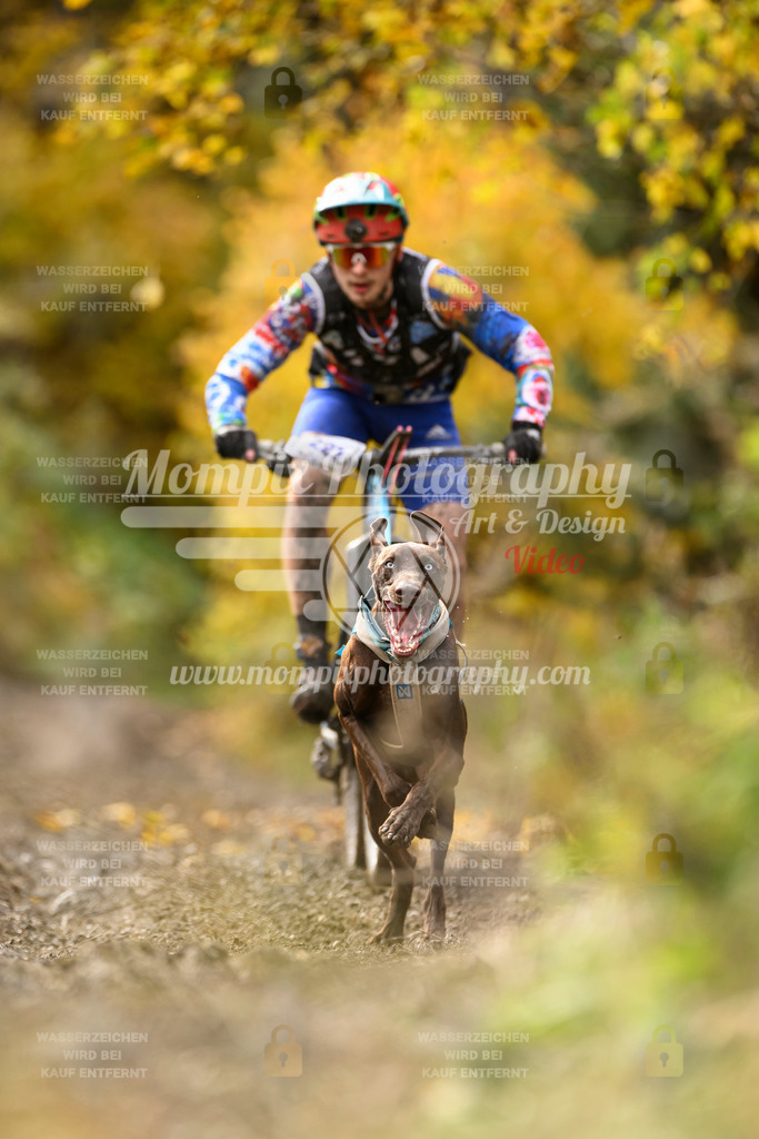 MompixPhotography_ICF_WC_2024_SA_Bike_-372 | PayLife