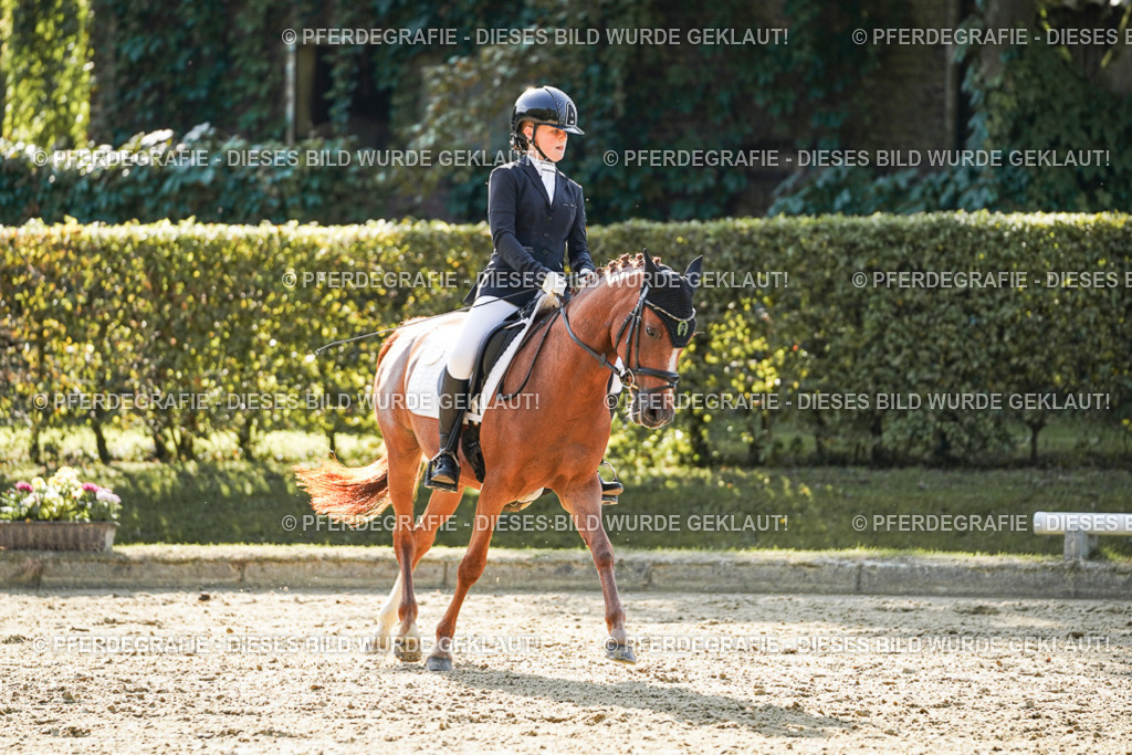 DSC06017 | Pferdegrafie