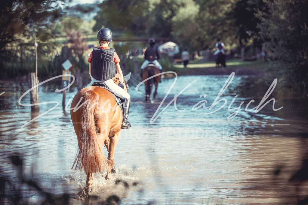 20260523-_3LI6202 | Tierfotografie Pferde, Hunde, Katzen, Haustiere.
Turnierfotografie Reitturniere, Reiten, Springreiten, Dressur in Hanau, dem Main-Kinzig-Kreis und dem Rhein-Main- Gebiet um Frankfurt