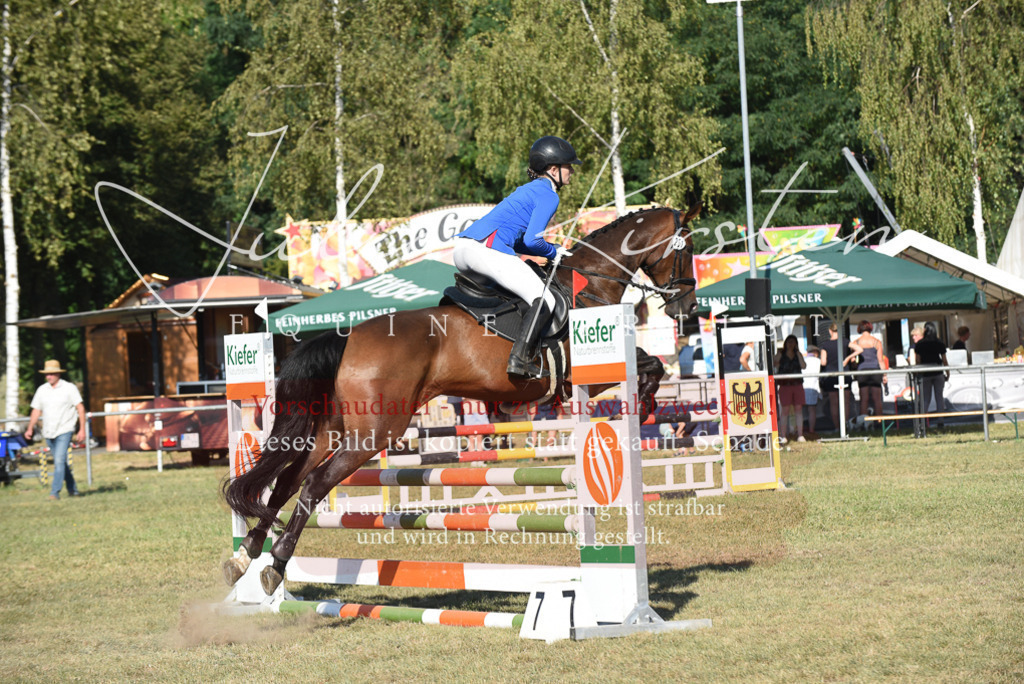 DSC_5309 | Pferde- und Turnierfotografie in Westsachsen. Pferdeportraits, Auftragszeichnungen und intuitive Kunst.