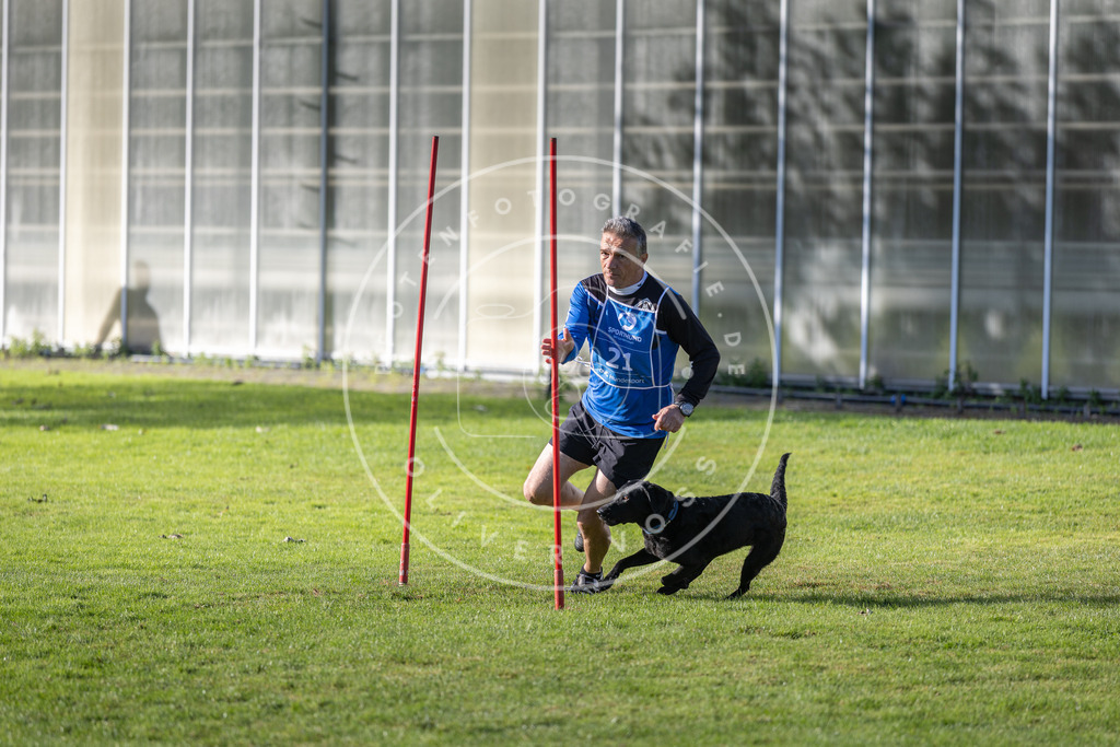 Pfotenfotografie.de_DV3A3232 | Hundefotografie, Tierfotograf, Pfotenfotografie, Fotoshooting Hund, Hunde Portrait, Hundesport, Hundeportraits, Heideshooting, Hunde, Sportfotograf, Hundefotograf, Turnierhundsport, THS, canicross - Realisiert mit Pictrs.com