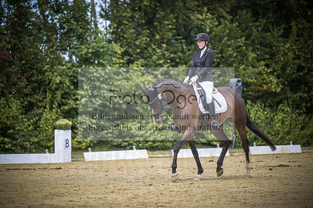 DOS_3395 | Entdecke hochwertige Reitturnierfotos von Foto Oger. Professionell, emotional und authentisch – jetzt Lieblingsmomente im Shop bestellen.Deutschlandweite Turnierfotografie. - Realisiert mit Pictrs.com