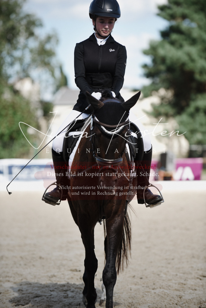 DSC_9986 | Pferde- und Turnierfotografie in Westsachsen. Pferdeportraits, Auftragszeichnungen und intuitive Kunst.