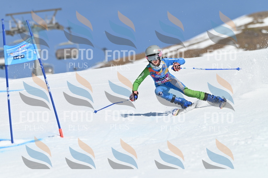 BGV_9063 | holidayphoto