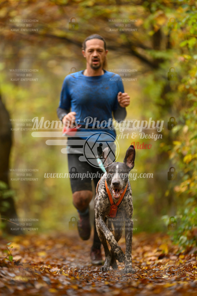 MompixPhotography_CD7S_DI_CCL-53 | mompixphotography