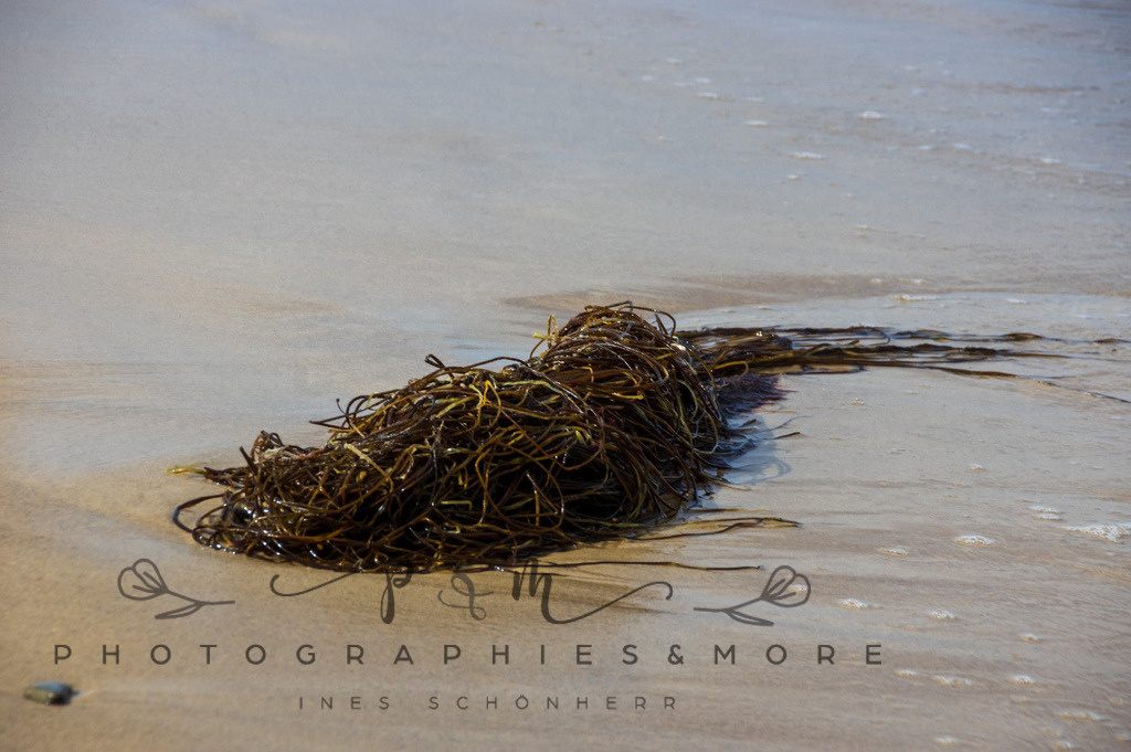 _Grenen22-1786 | Photographies and more - Realisiert mit Pictrs.com