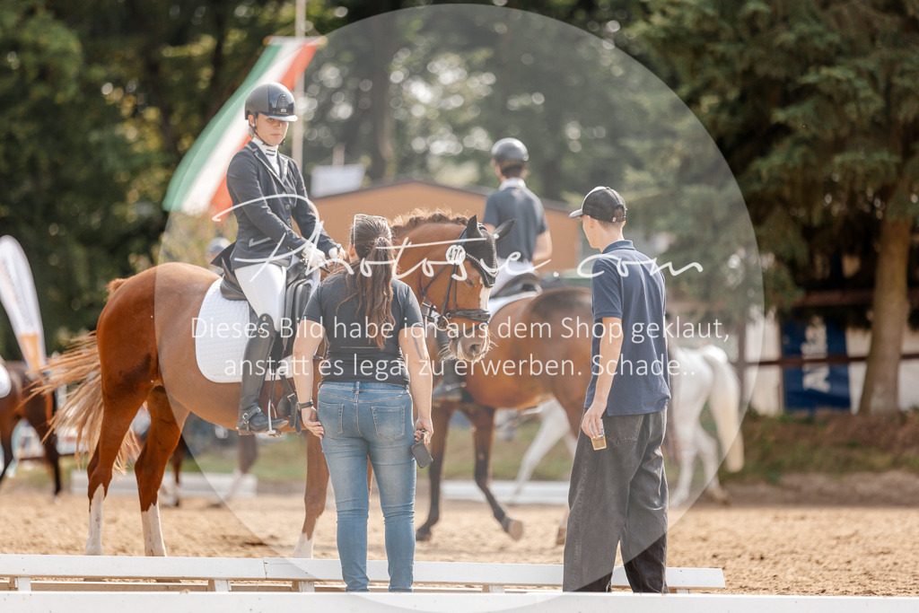 3I6A4296 | Stimmungsvolle Portraits und Reitsportfotografie im Ruhrgebiet und im Münsterland.

Pferdefotografie, Hundefotografie, Tierfotografie, Reportagen, Portraits von Tier und Mensch, Turnierfotografie in Bochum, Recklinghausen, Marl, Haltern am See, Dülmen.. - Realisiert mit Pictrs.com
