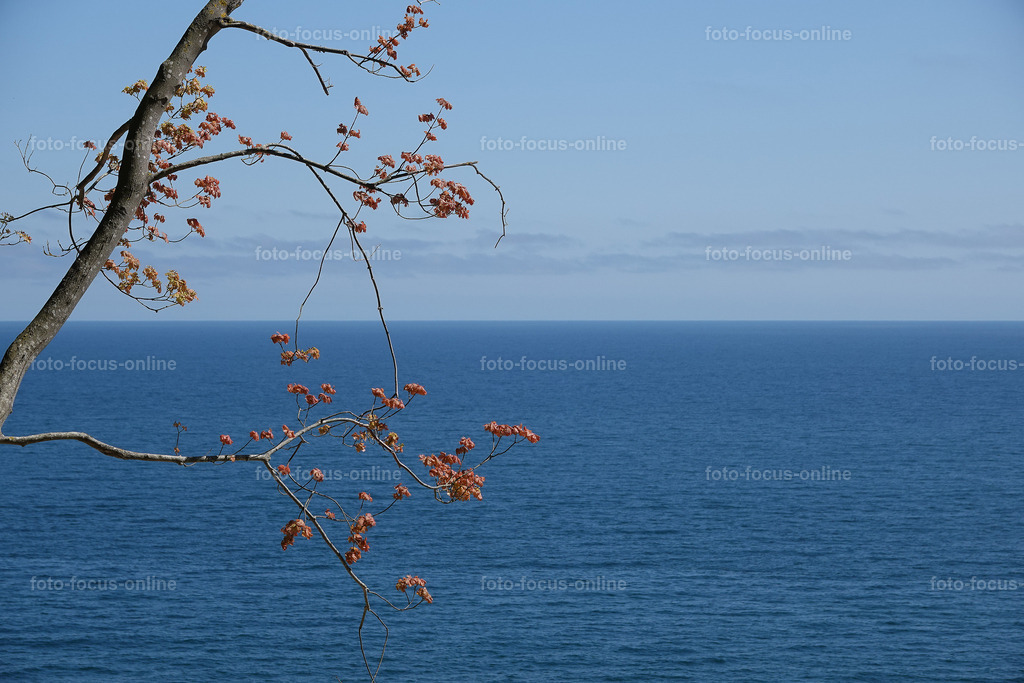 Colorful Baltic sea | Landscape photography, spectacular waves, Atlantic Ocean, Baltic Sea