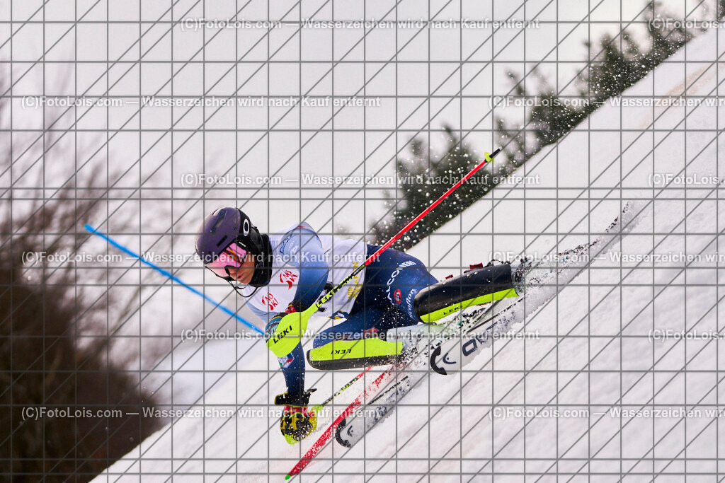 ALP9366_Herrn-FIS-SL-I_SK-Lackenhof_TSCHEMERNJAK Lito | Internationaler FIS Slalom der Herrn auf der Distelpiste in Lackenhof am Do 13. März 2025.  Österreich, LSV-NÖ, Schiklub Lackenhof (2010).