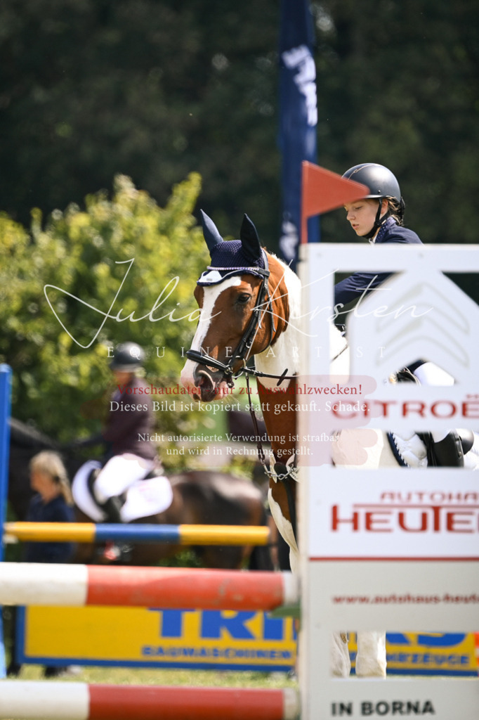 DSC_9062 | Pferde- und Turnierfotografie in Westsachsen. Pferdeportraits, Auftragszeichnungen und intuitive Kunst.