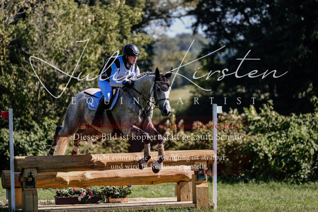 DSC_1421 | Pferde- und Turnierfotografie in Westsachsen. Pferdeportraits, Auftragszeichnungen und intuitive Kunst.