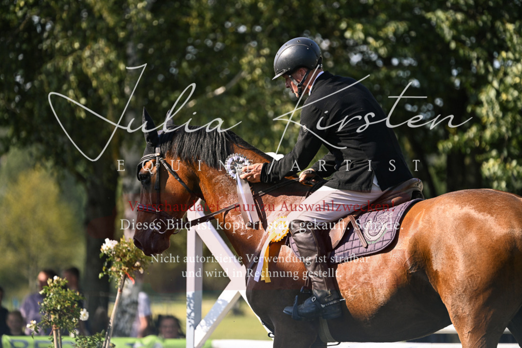 DSC_1522 | Pferde- und Turnierfotografie in Westsachsen. Pferdeportraits, Auftragszeichnungen und intuitive Kunst.