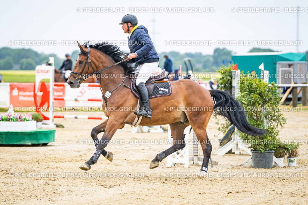 DSC08993 | Pferdegrafie