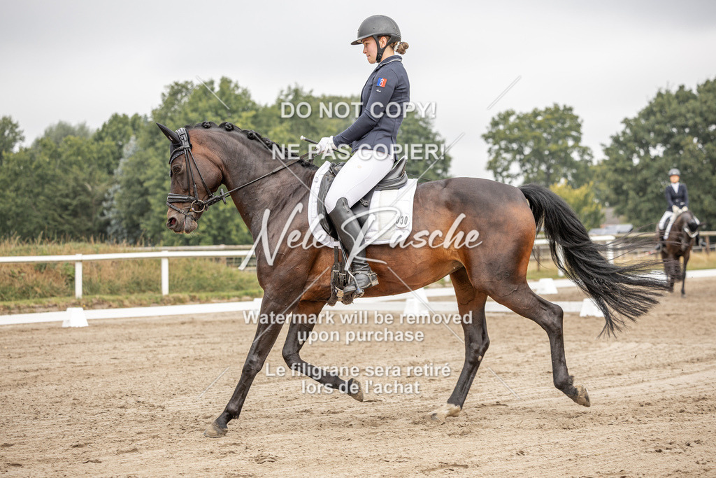nelerasche_DrL_Ede_184 | nelerasche